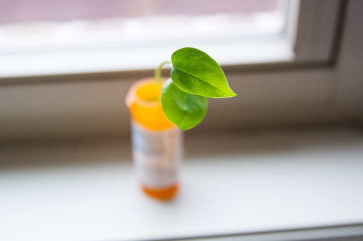 my-mental-health-journey-01