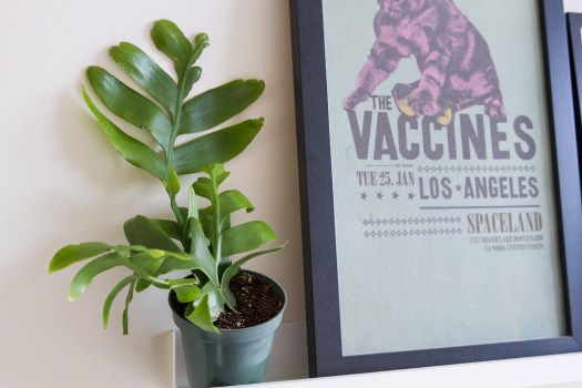 tales-of-a-plant-hoarder-01